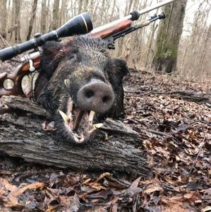 Meet your Posher, William